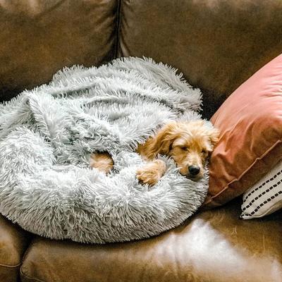 Zacht Honden Kussen "Wolke 7" - Het Origineel voor ontspannen slaap