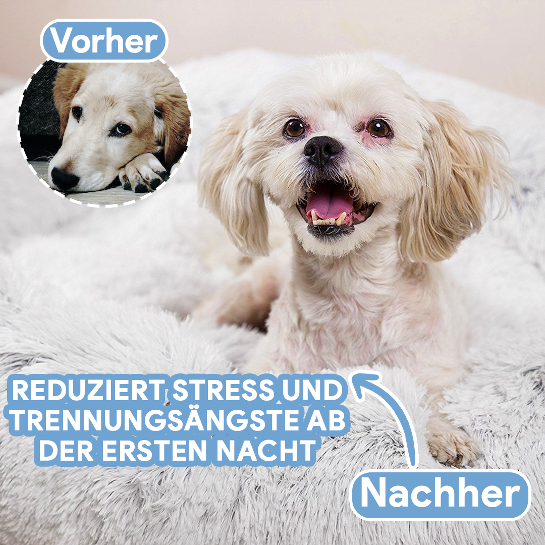 Zacht Honden Kussen "Wolke 7" - Het Origineel voor ontspannen slaap